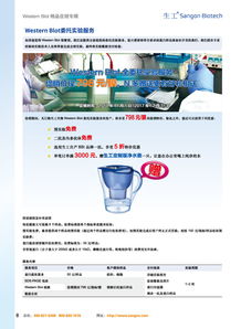 生工生物推出Western Blot服務限時促銷，多重好禮助力科研